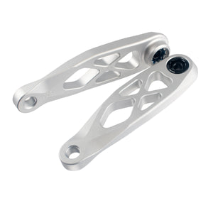 Specialized Levo 2025/Bosch/TQ R-Spec eCranks