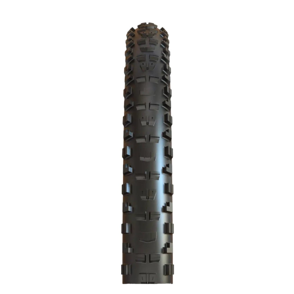 Minion DHR II MAXXTerra Tire