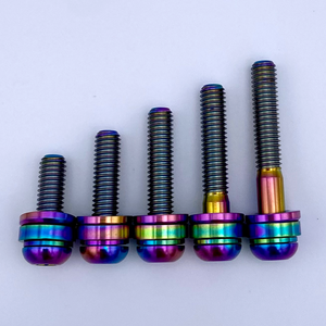 Brake Caliper Titanium Bolts