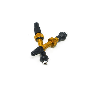 Torch Tubeless Valve Aluminum (Single)